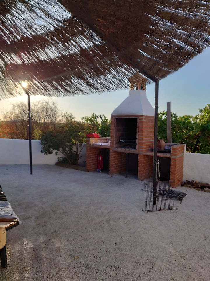 Día de Campo