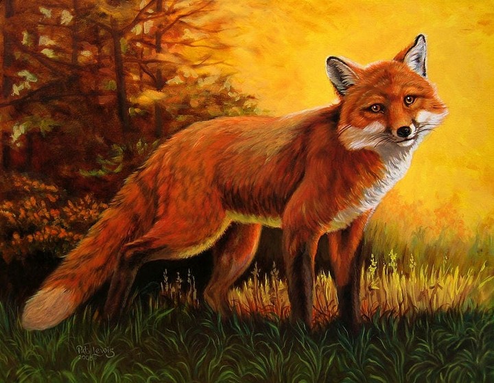 Fox