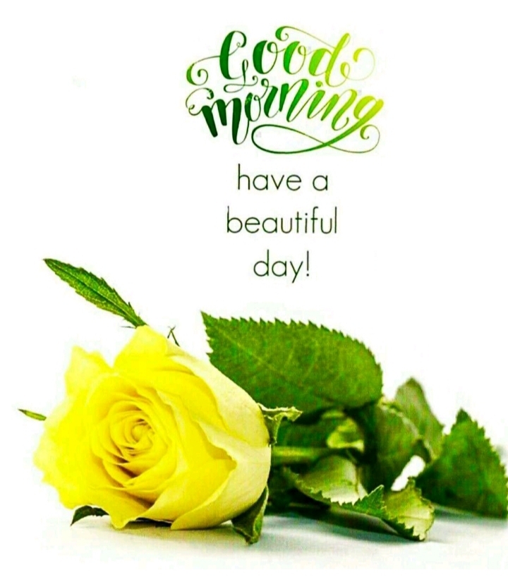 good morning