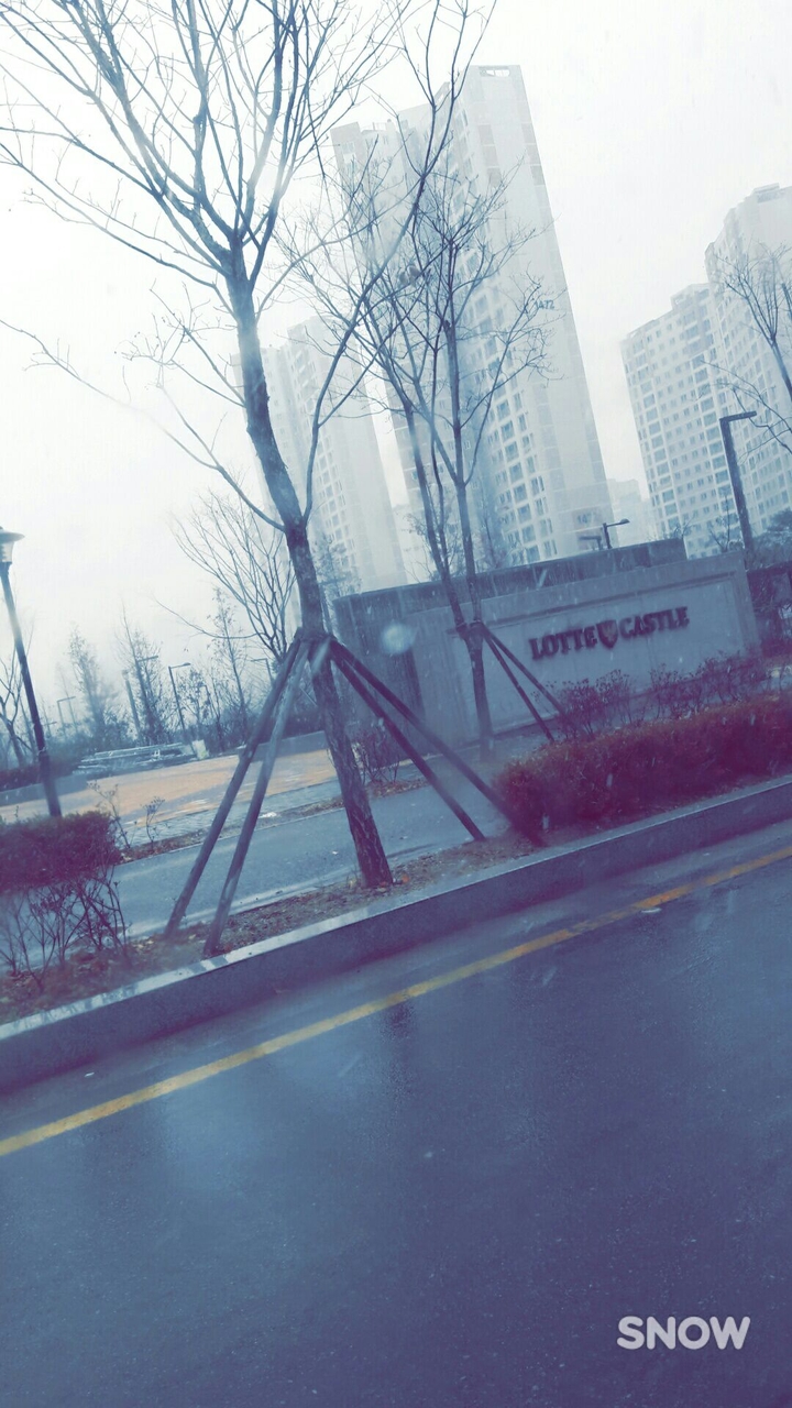 눈내리는 초저녁