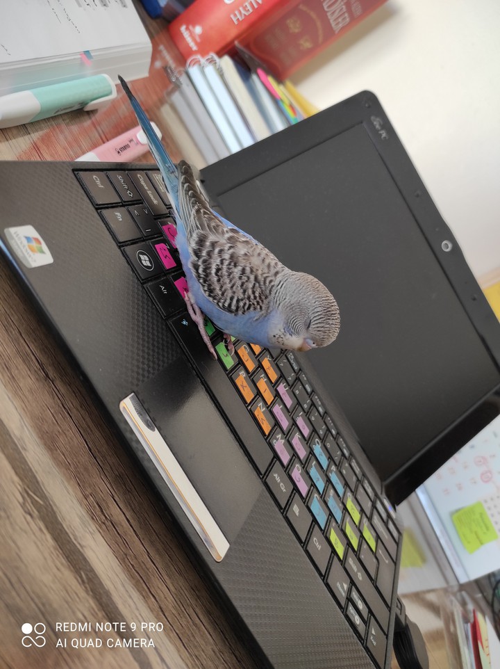:)