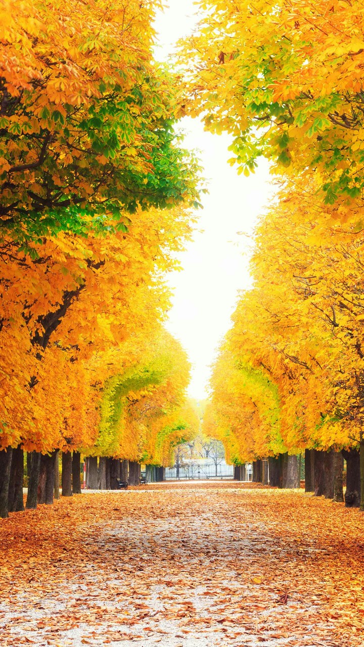 autumn