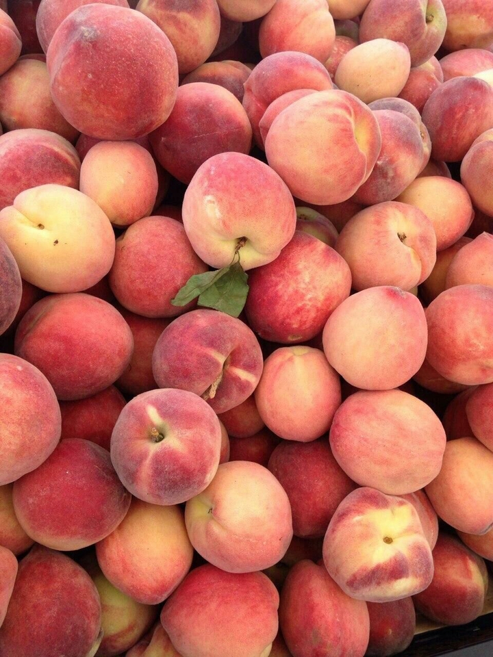 Peaches