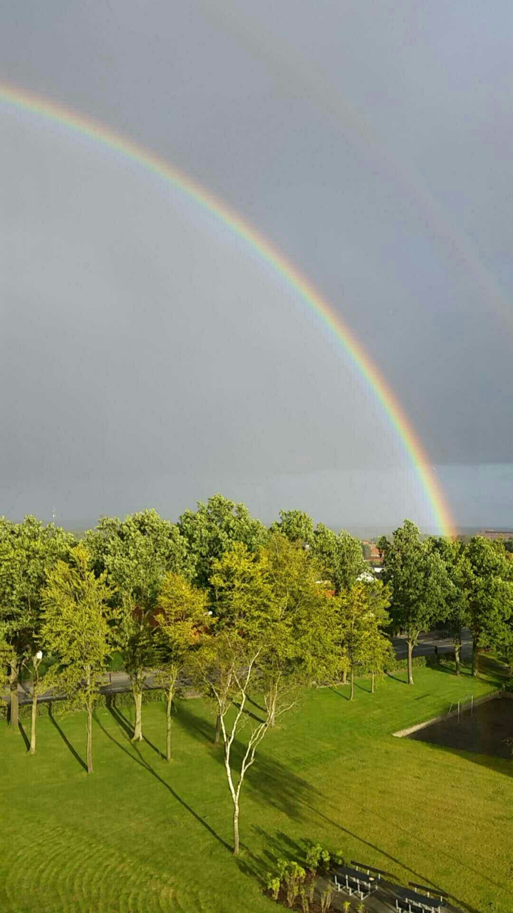 rainbow