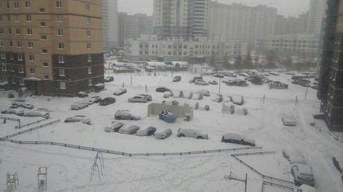 winter