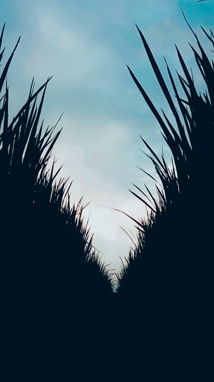 path