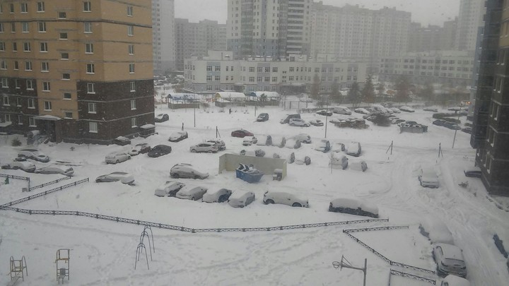winter