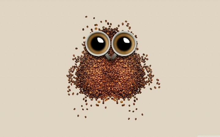 owl