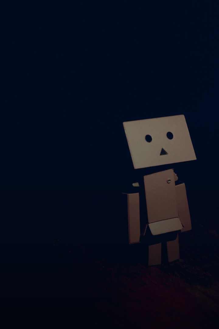 danbo