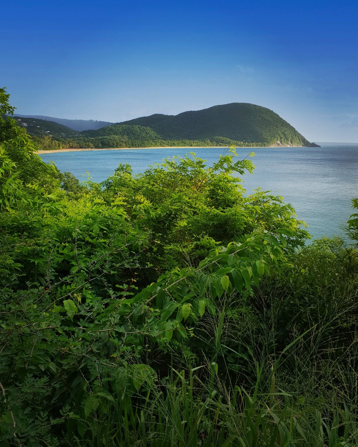 Island