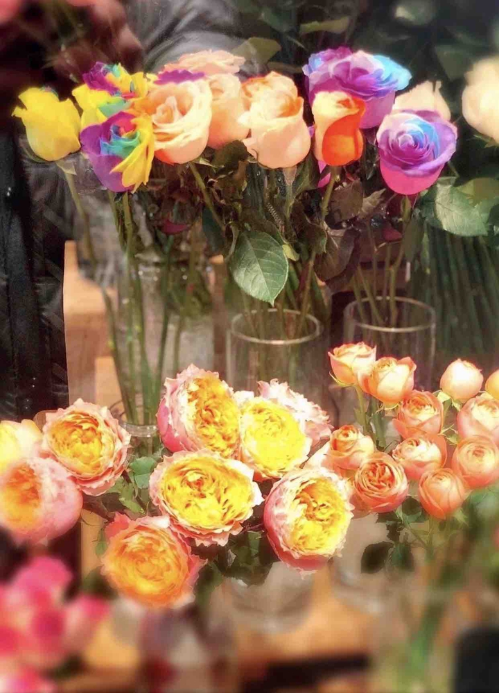 The color of roses