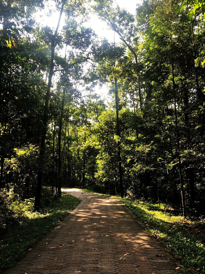 miles to go