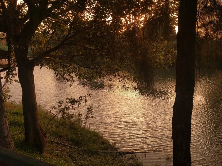 evening