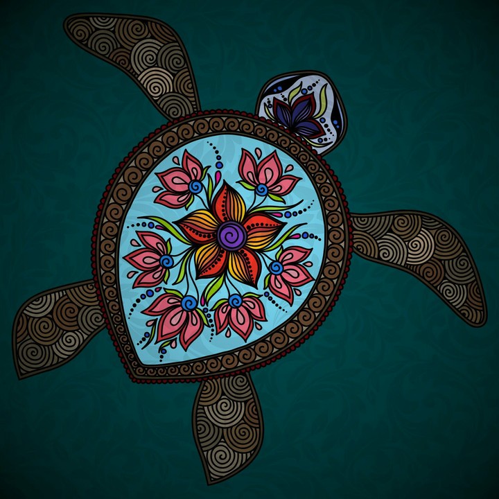 Marine Turtle