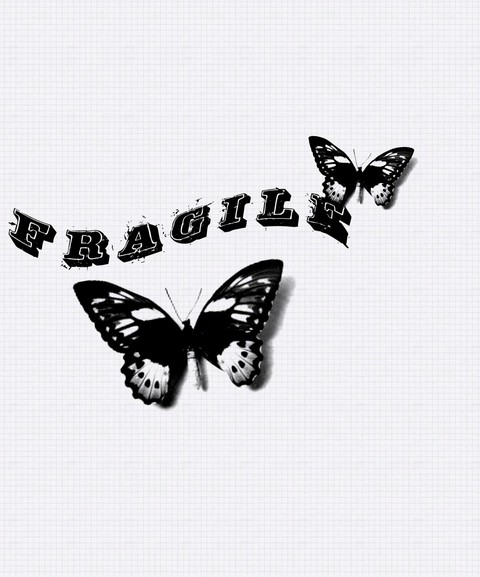 Fragile Butterfly Graphic