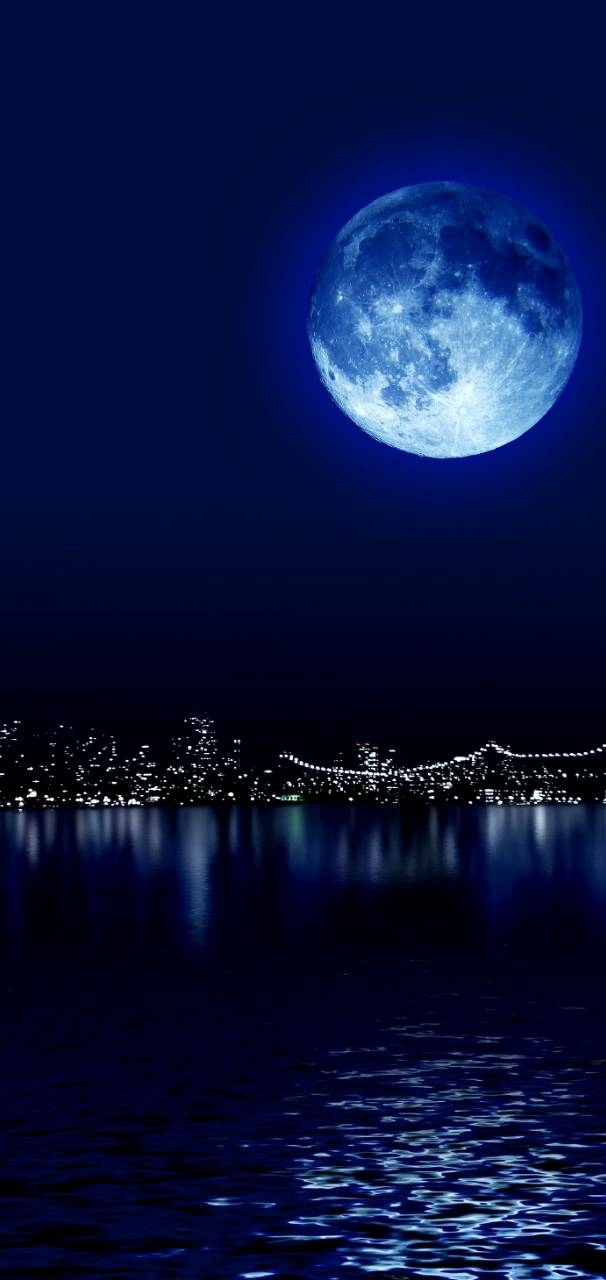 Moonlit night in blue over the metropolis
