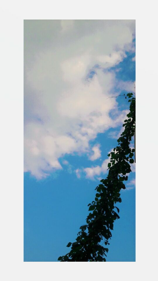•sky•