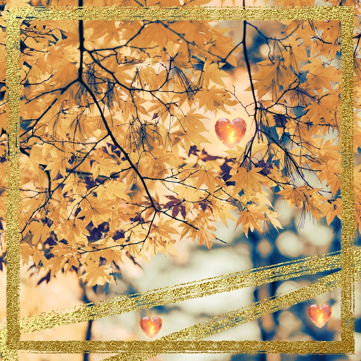 Hearts in autumn