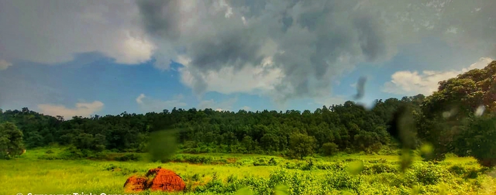 nature