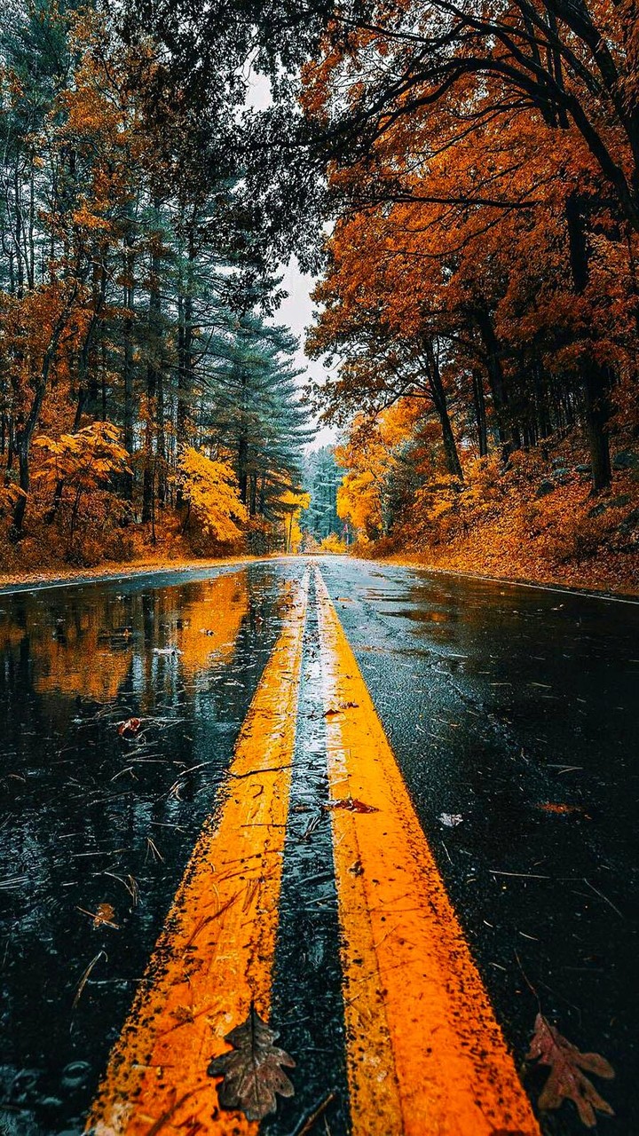 {Cloudy autumn}