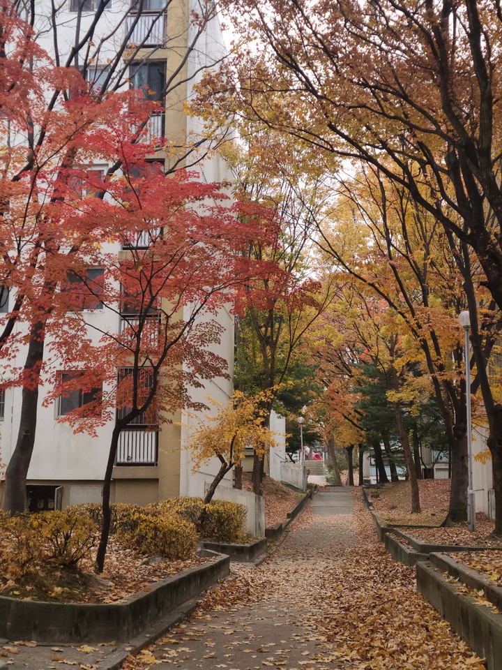 가을