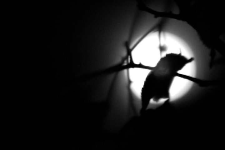 la pleine lune