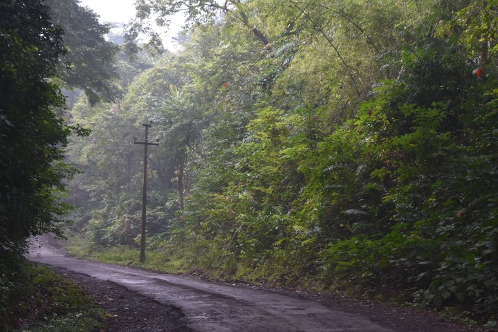 Roads
