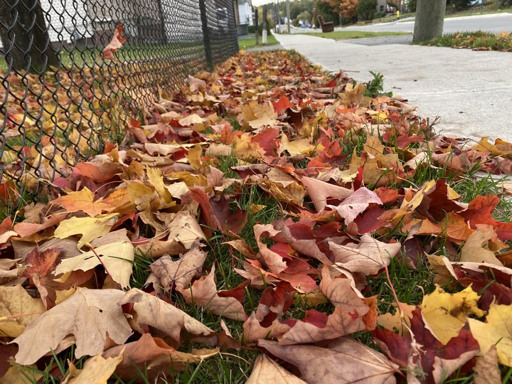 Fall