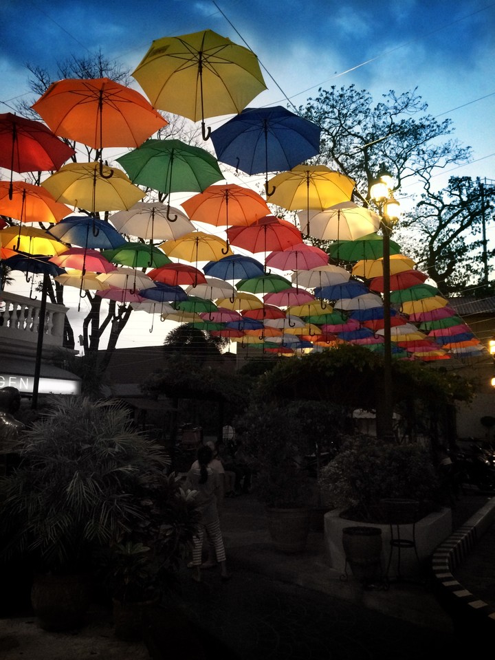 colours of life....