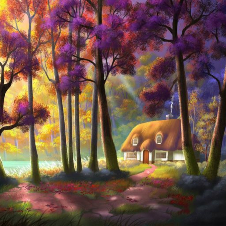 Woodland hideaway