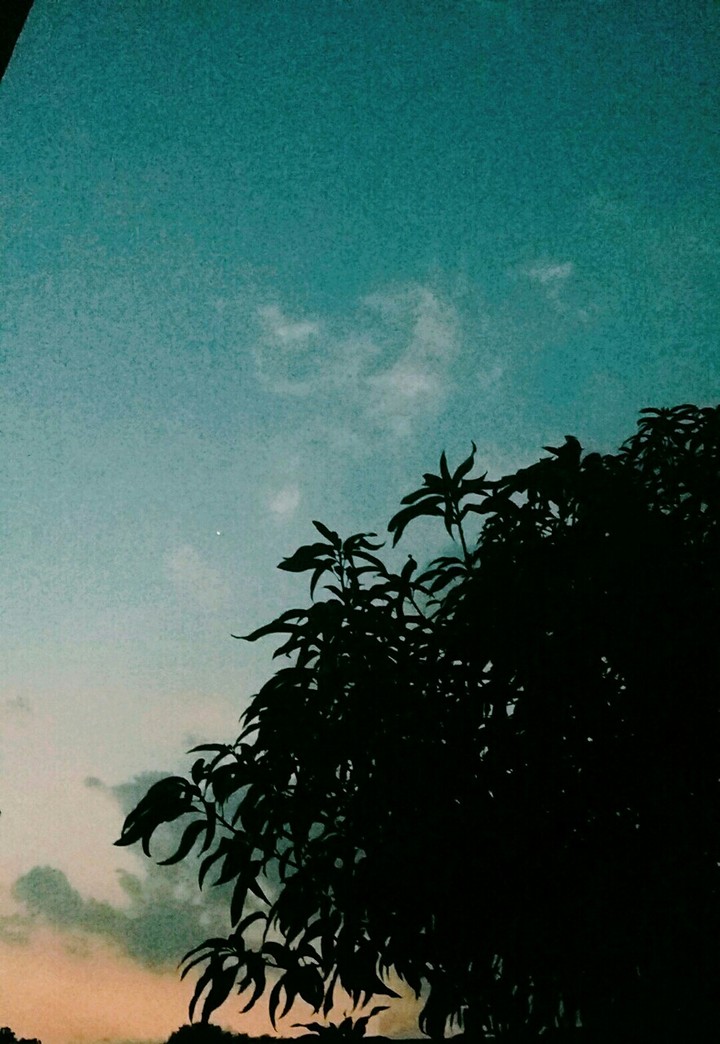 noite