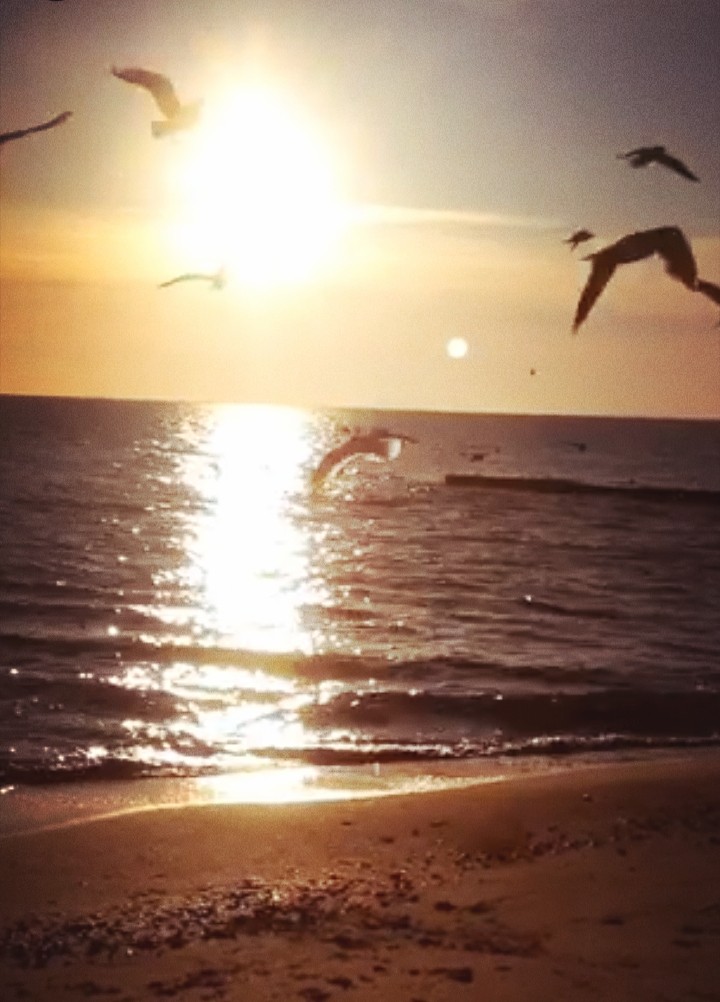#sea #morning