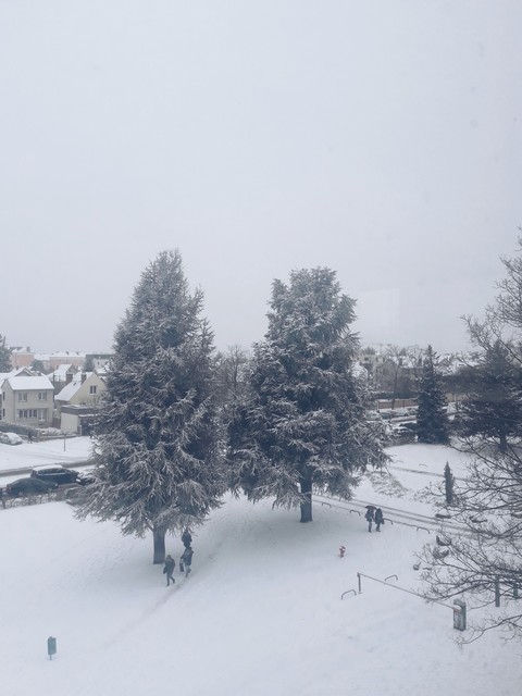 snowy landscape
