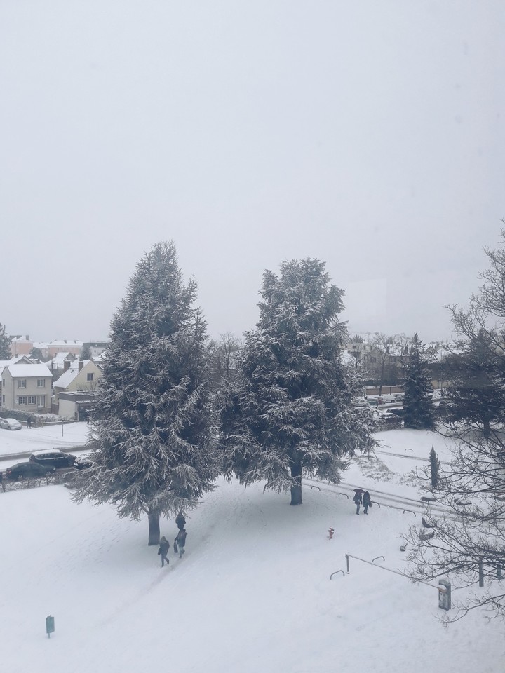 snowy landscape