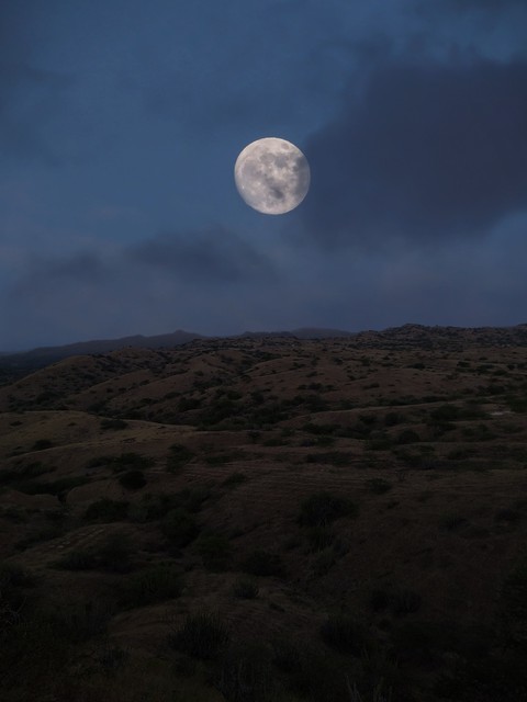 MOON