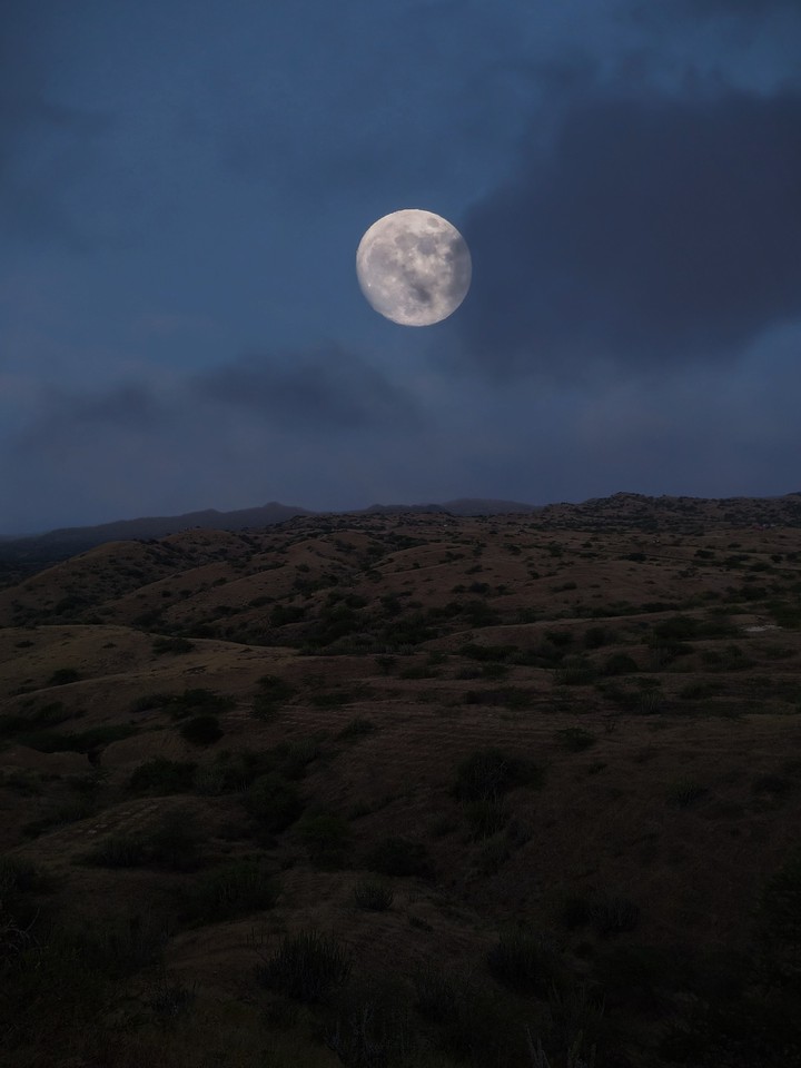 MOON