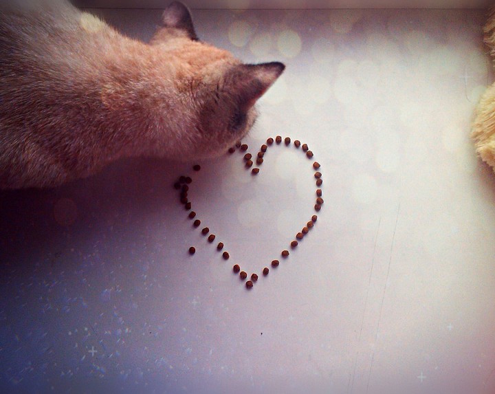 My Valentine