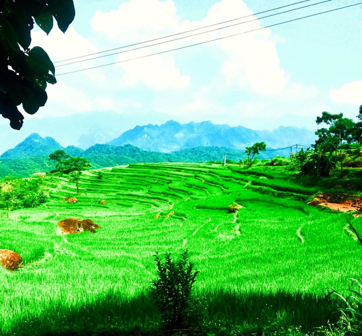Highlands - Vietnam