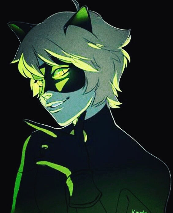 Chat Noir