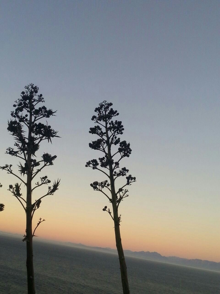 Simonstown, Cape Town