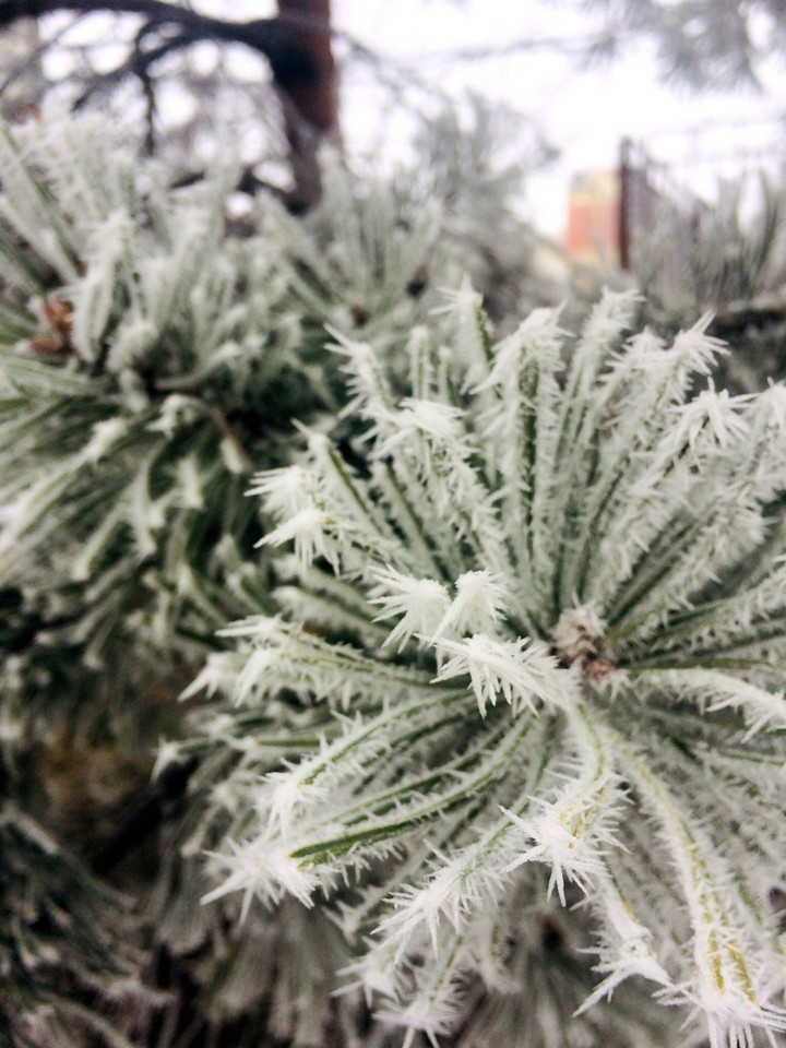 Winter’s Coming