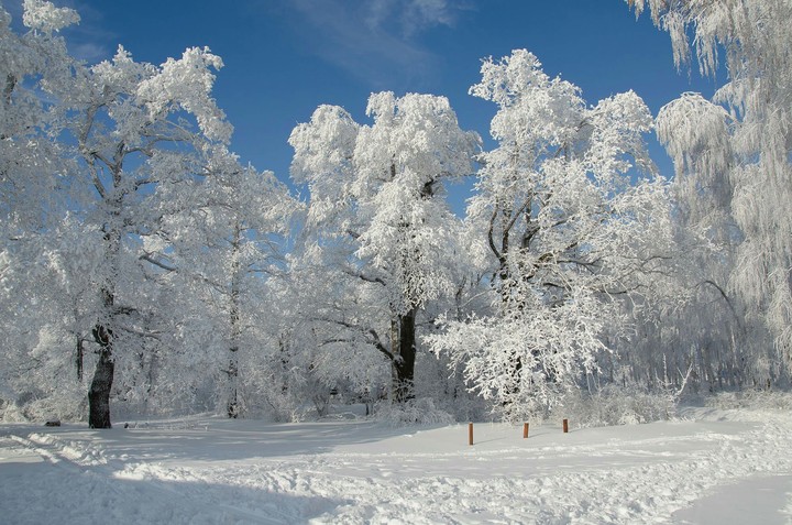 Winter