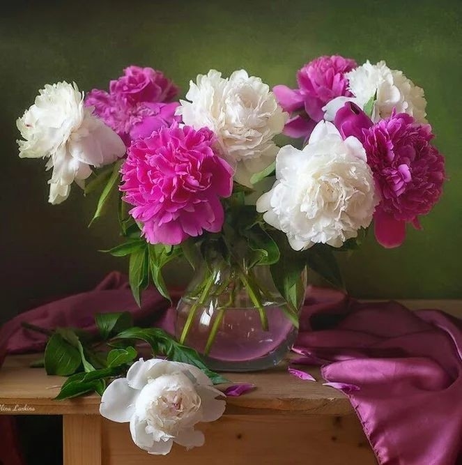 peonies