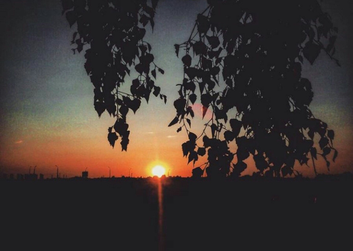 sunset