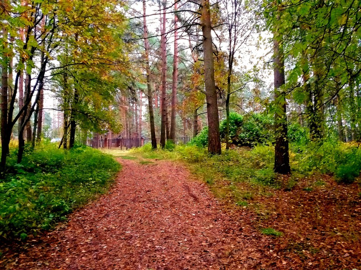 21.09.2019