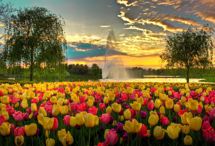 beauty of nature