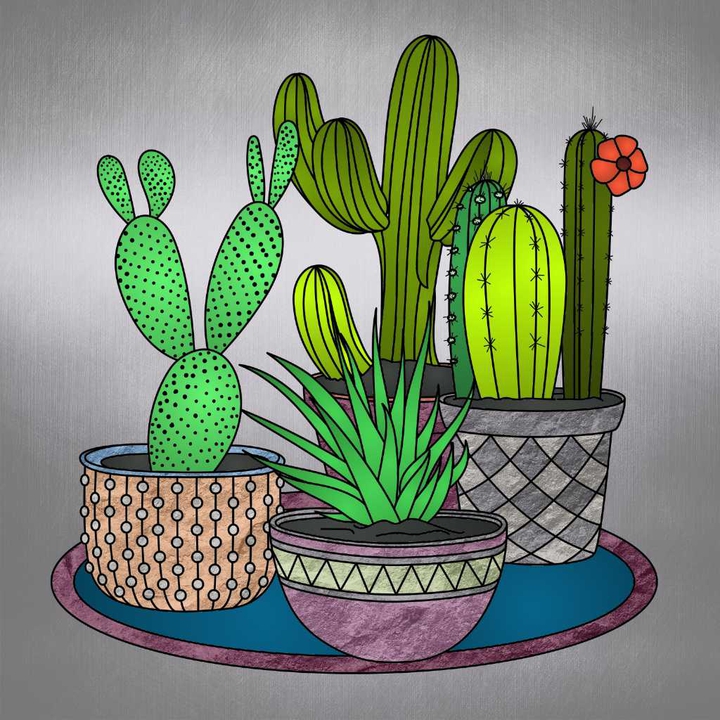 vasos de cactos
