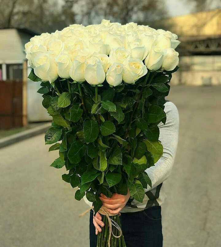 whit rose