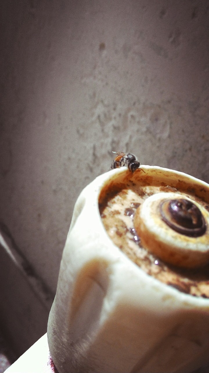 bee sweet