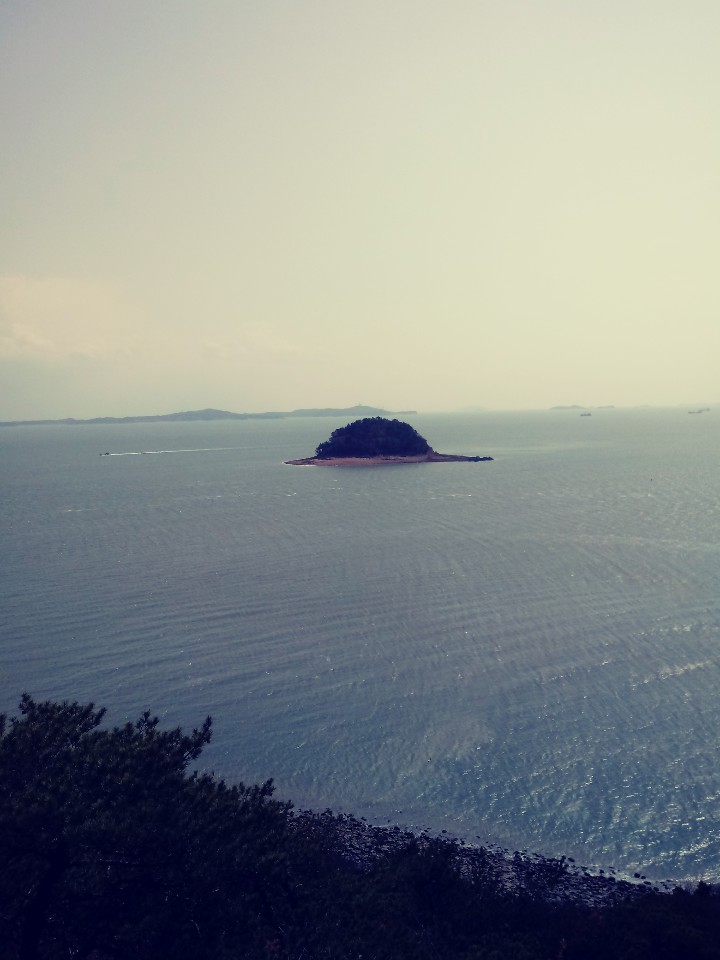 육지 가까운 작은 섬